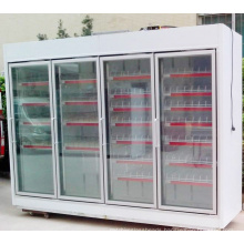 Chinese produced Electric Freezer Glass Door